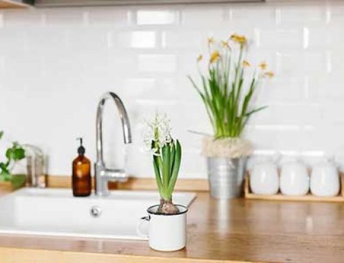Eco-Friendly Plumbing Tips for a Greener Home